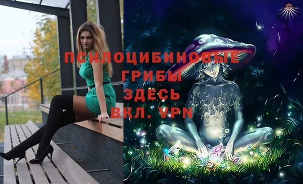 молекула духа Белокуриха