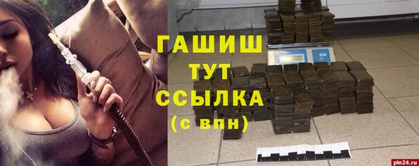 мдпв Рославль