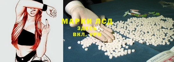 амф Россошь