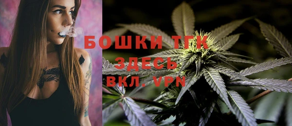 молекула духа Белокуриха