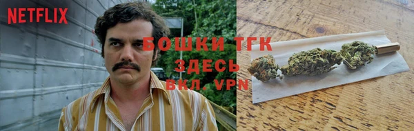 молекула духа Белокуриха
